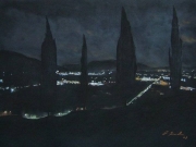 Porcari di notte