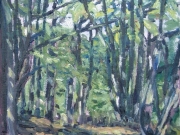 "Bosco di Brancoli"