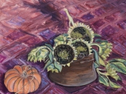 girasoli con zucca