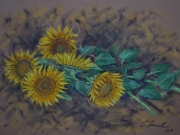 Cinque Girasoli