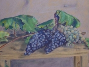 L'uva raccolta